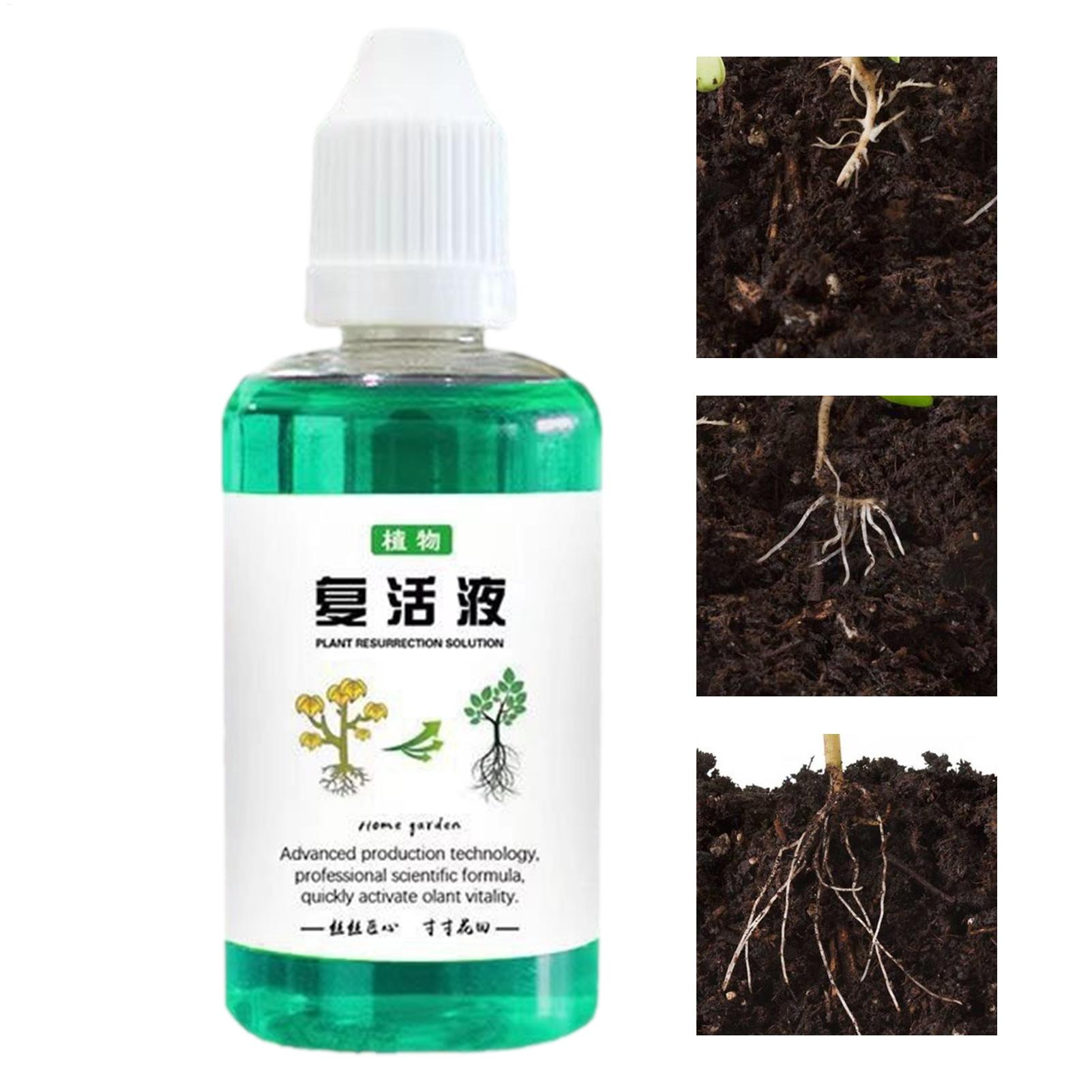 Root Stimulator Liquid - 50ml Root Stimulator Plant Resurrection Liquid