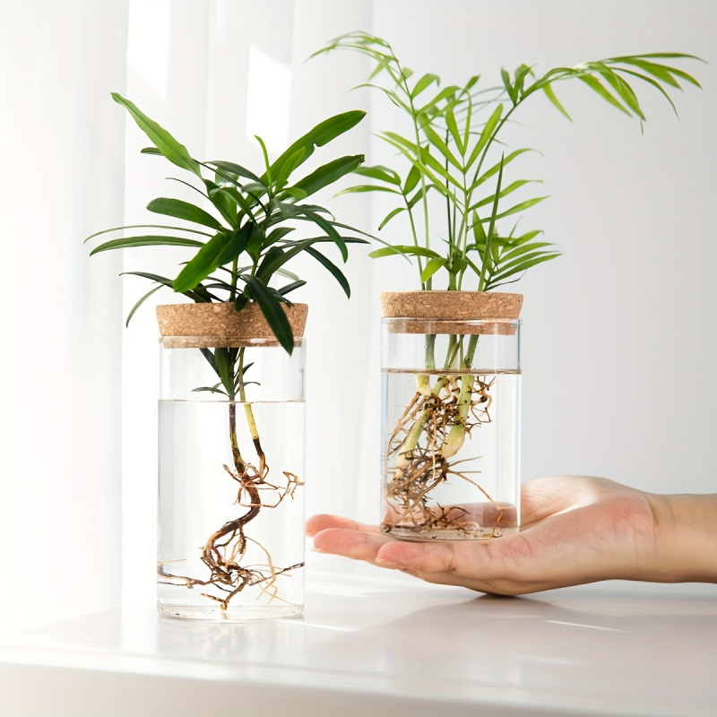 Propagation Station Vase - 1pc, Hydroponics Plants Desktop Glass Planter