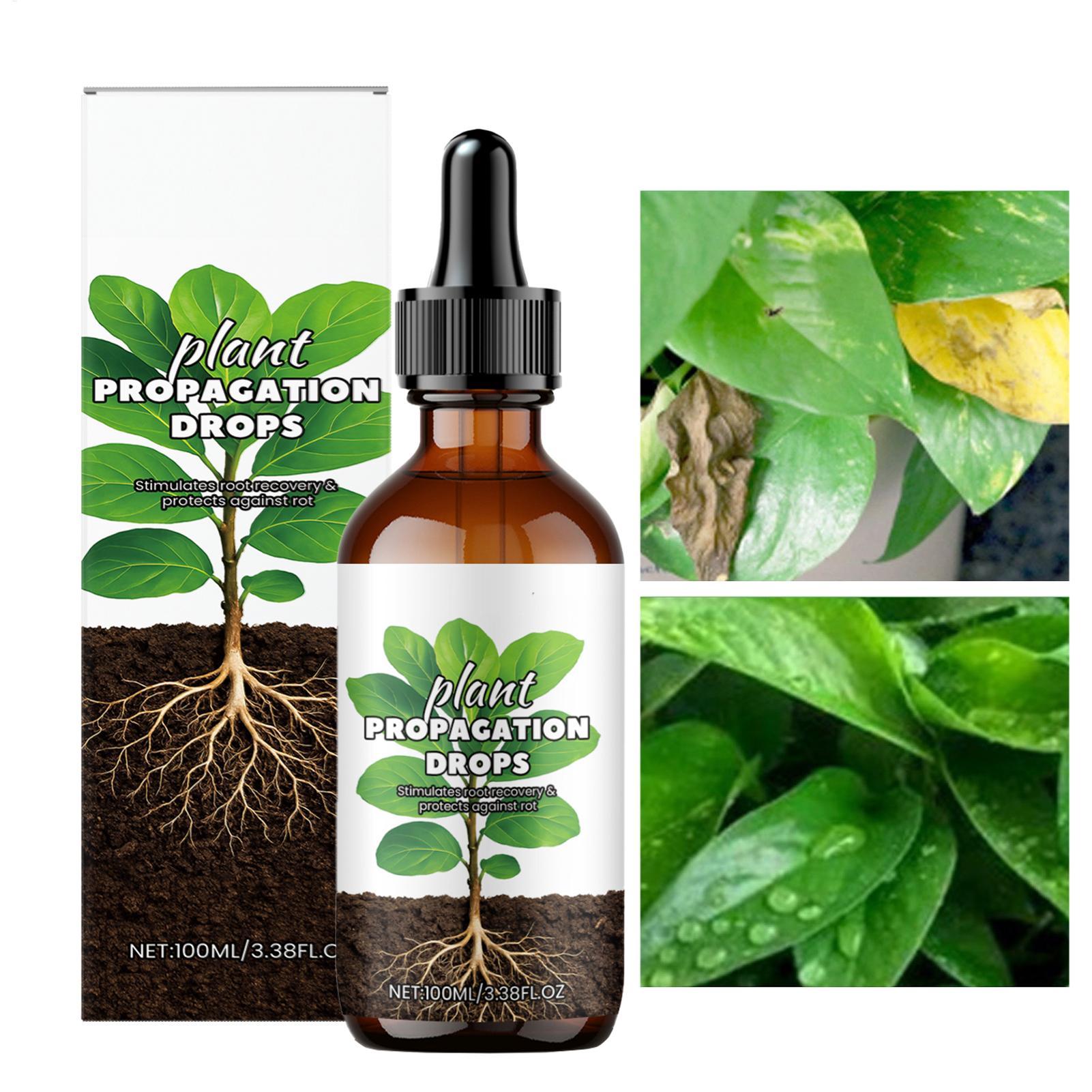 Root Stimulator Liquid - Root Booster 100ml Liquid Root Stimulator
