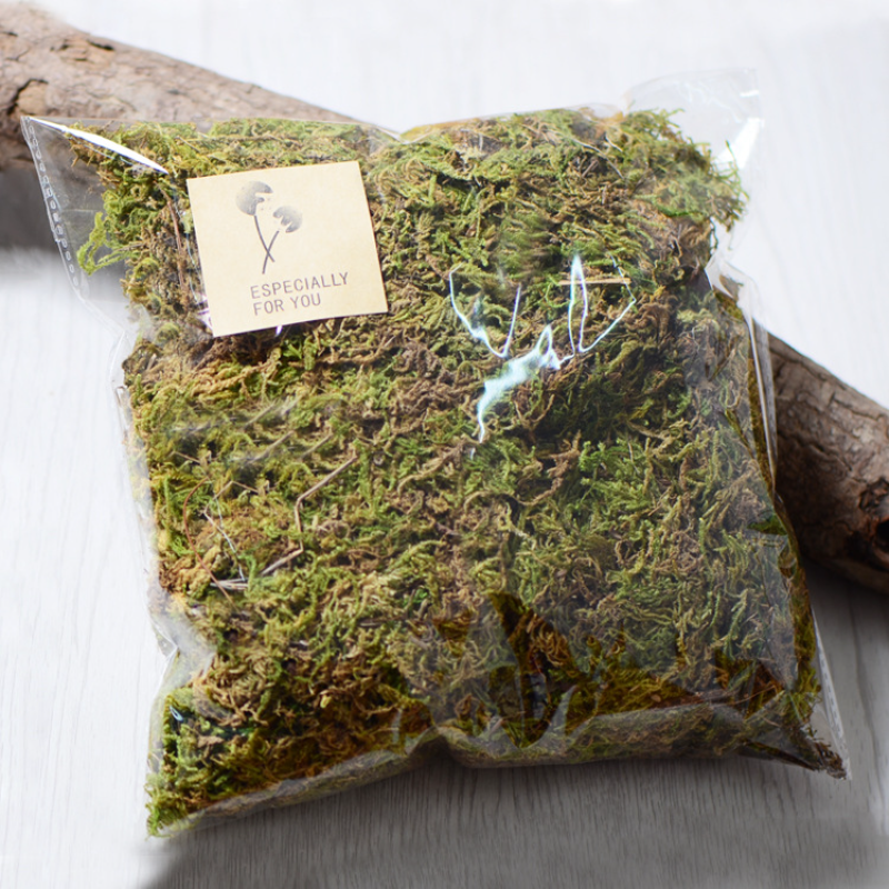 Sphagnum Moss Dry - 100g High Quality Artificial Moss Simulation