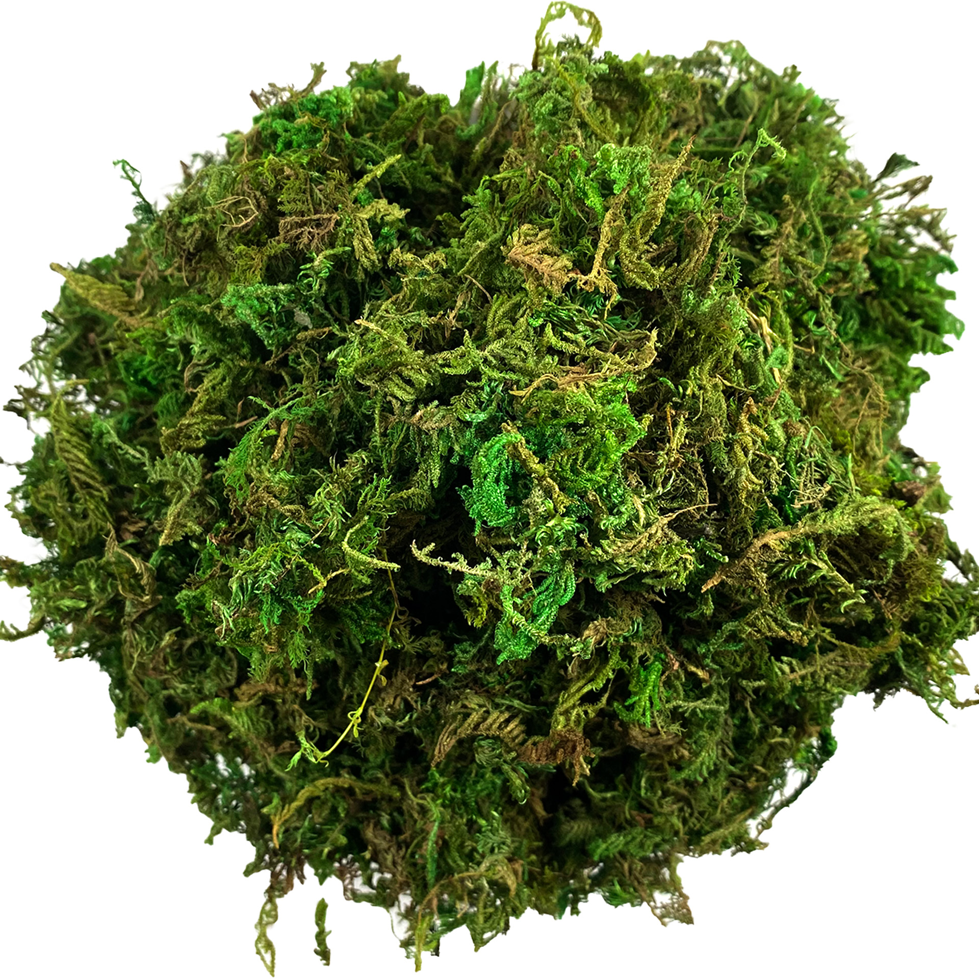 Sphagnum Moss Dry - Artificial Moss Green for Potted Plant