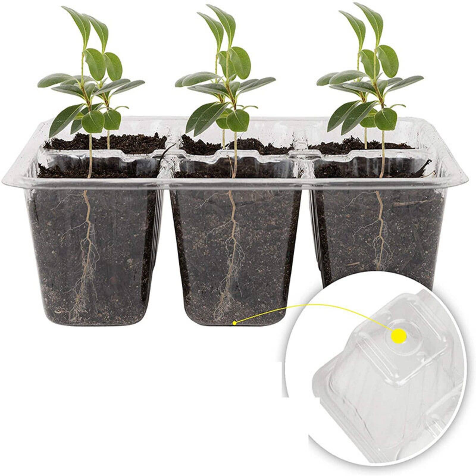 Humidity Dome Kit - 12 Compartment Germination Tray High Clarity