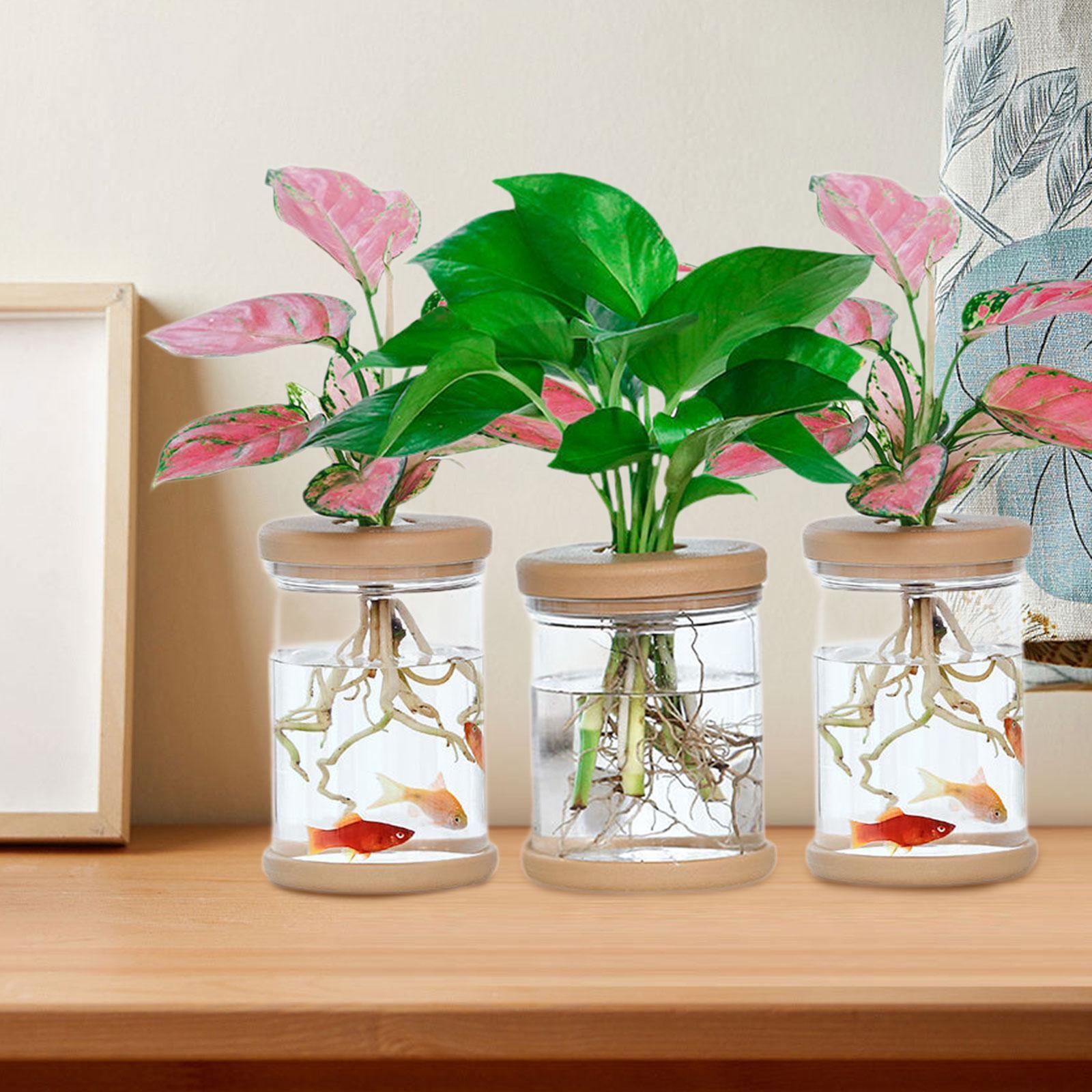 Propagation Station Vase - 3Pcs Hydroponics Flower Vases Decorative Vases