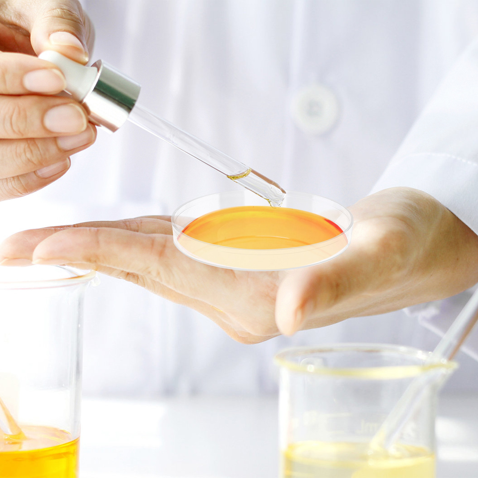 Agar Tissue Culture - 30Pcs Petri Dish Clear Plastic Laboratory