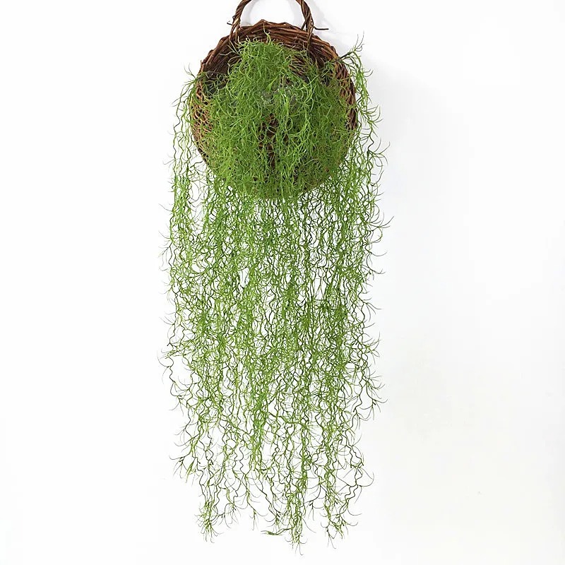 Sphagnum Moss Dry - 1/3/5pcs Air Grass Green Plants Long