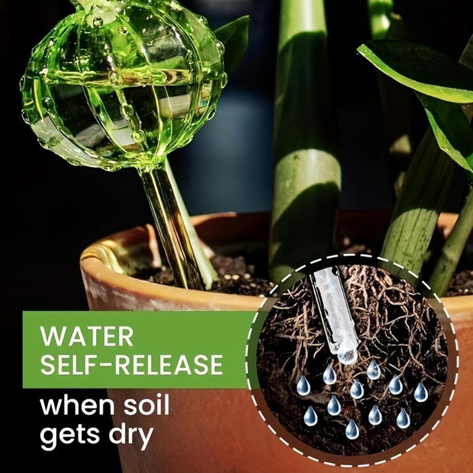 Self Watering Insert - Plant Watering Stakes 3 Pieces Slow-Release
