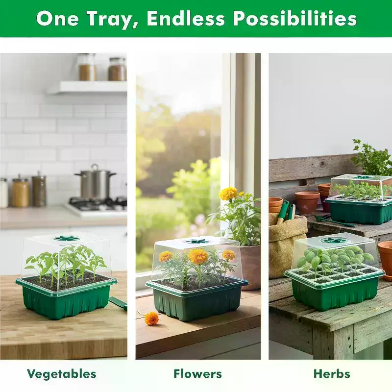 Humidity Dome Kit - 1Set Seed Starter Tray Mini Greenhouse