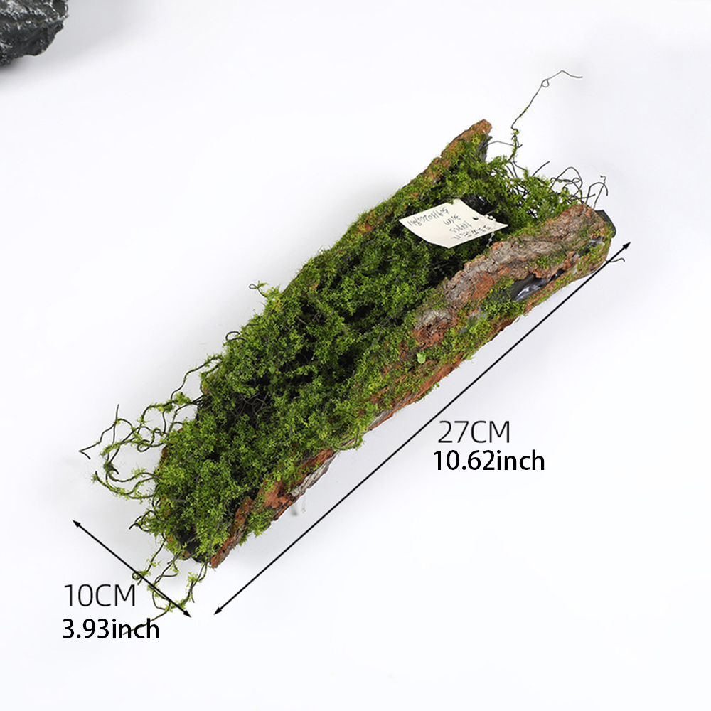 1 Imitation Bark Moss Planting - огляд і ціна Sphagnum Moss Dry