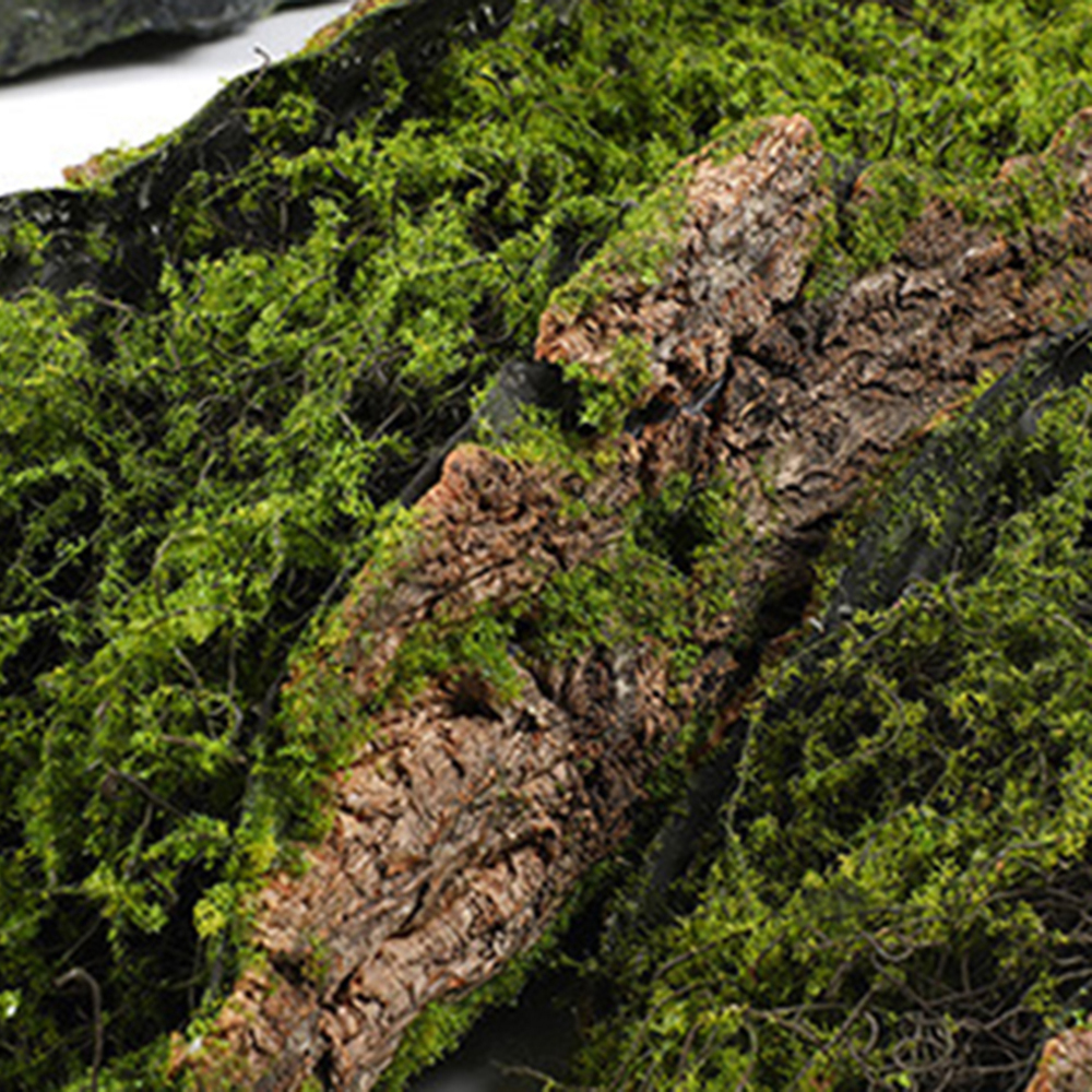 1 Imitation Bark Moss Planting - огляд і ціна Sphagnum Moss Dry