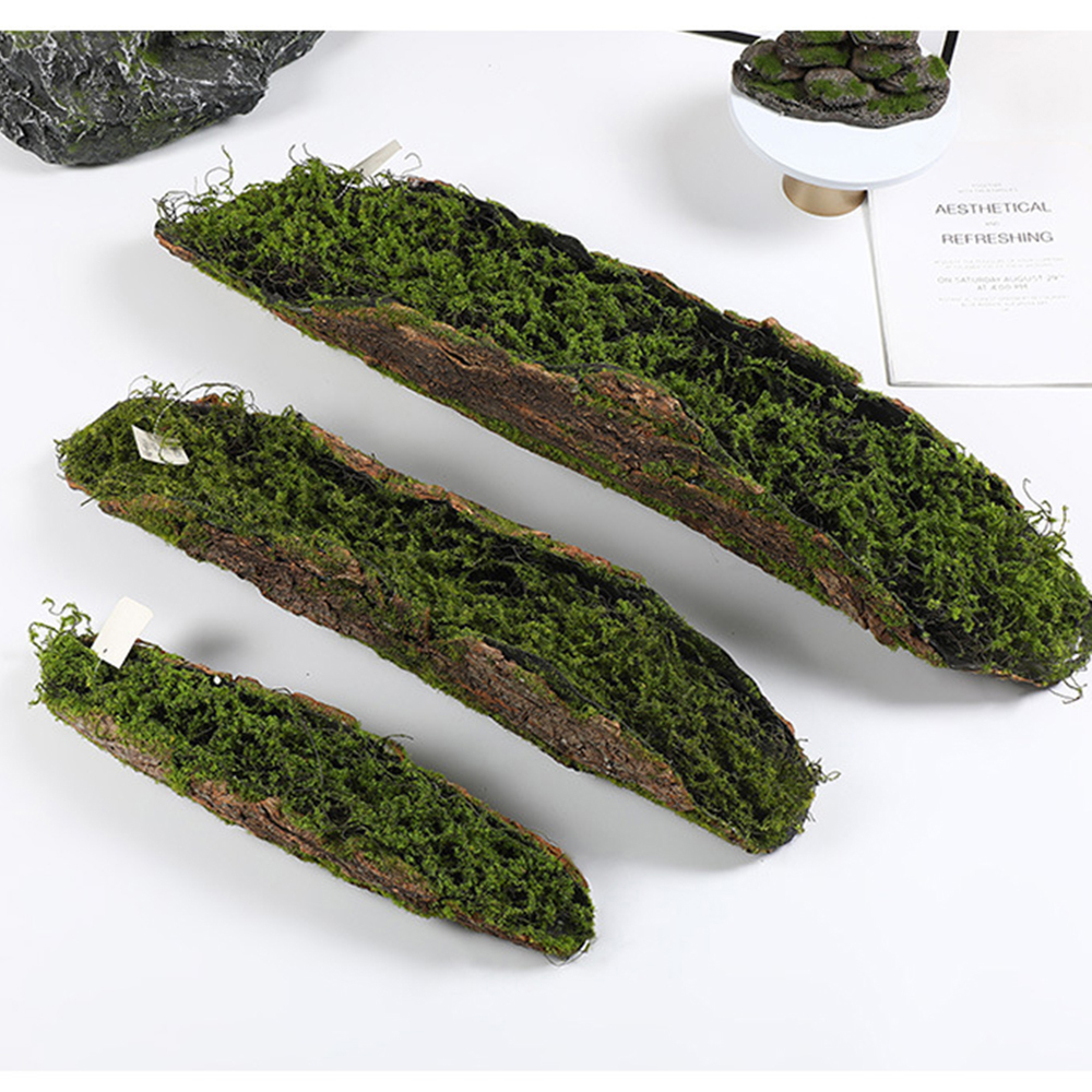 1 Imitation Bark Moss Planting - огляд і ціна Sphagnum Moss Dry