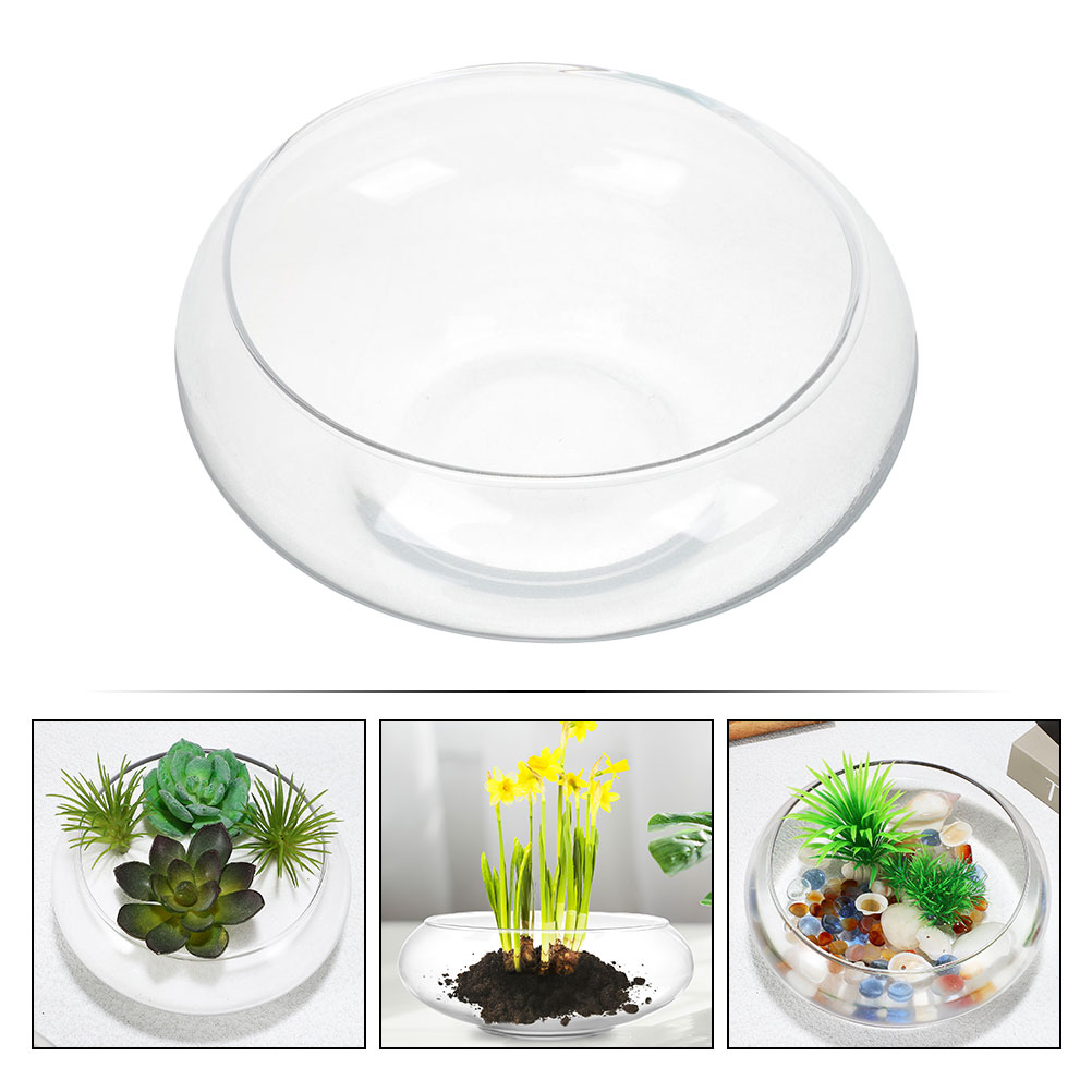Wide Mouth Glass Vase Narcissu - огляд і ціна Propagation Station Vase