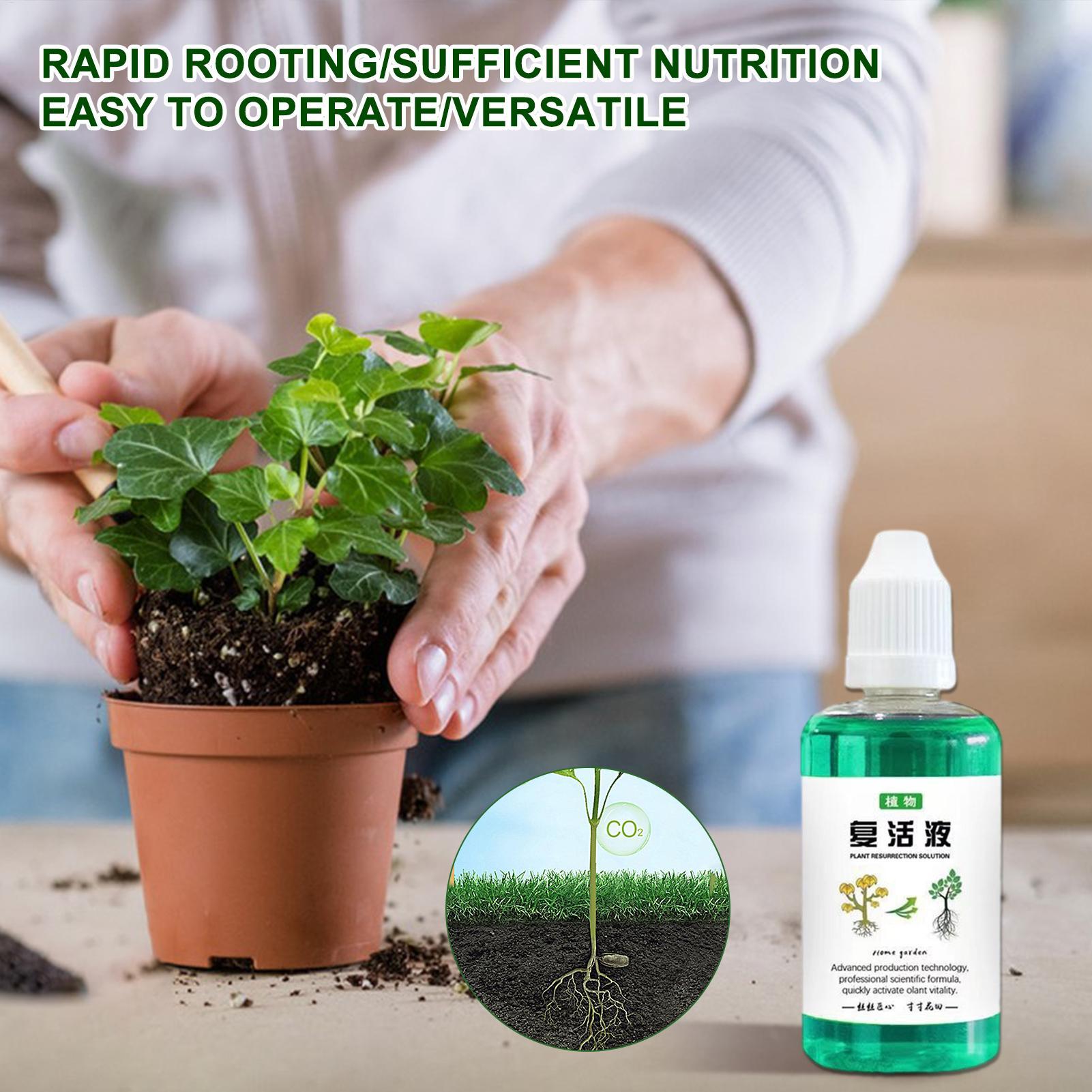 50ml Root Stimulator Plant Res - огляд і ціна Root Stimulator Liquid