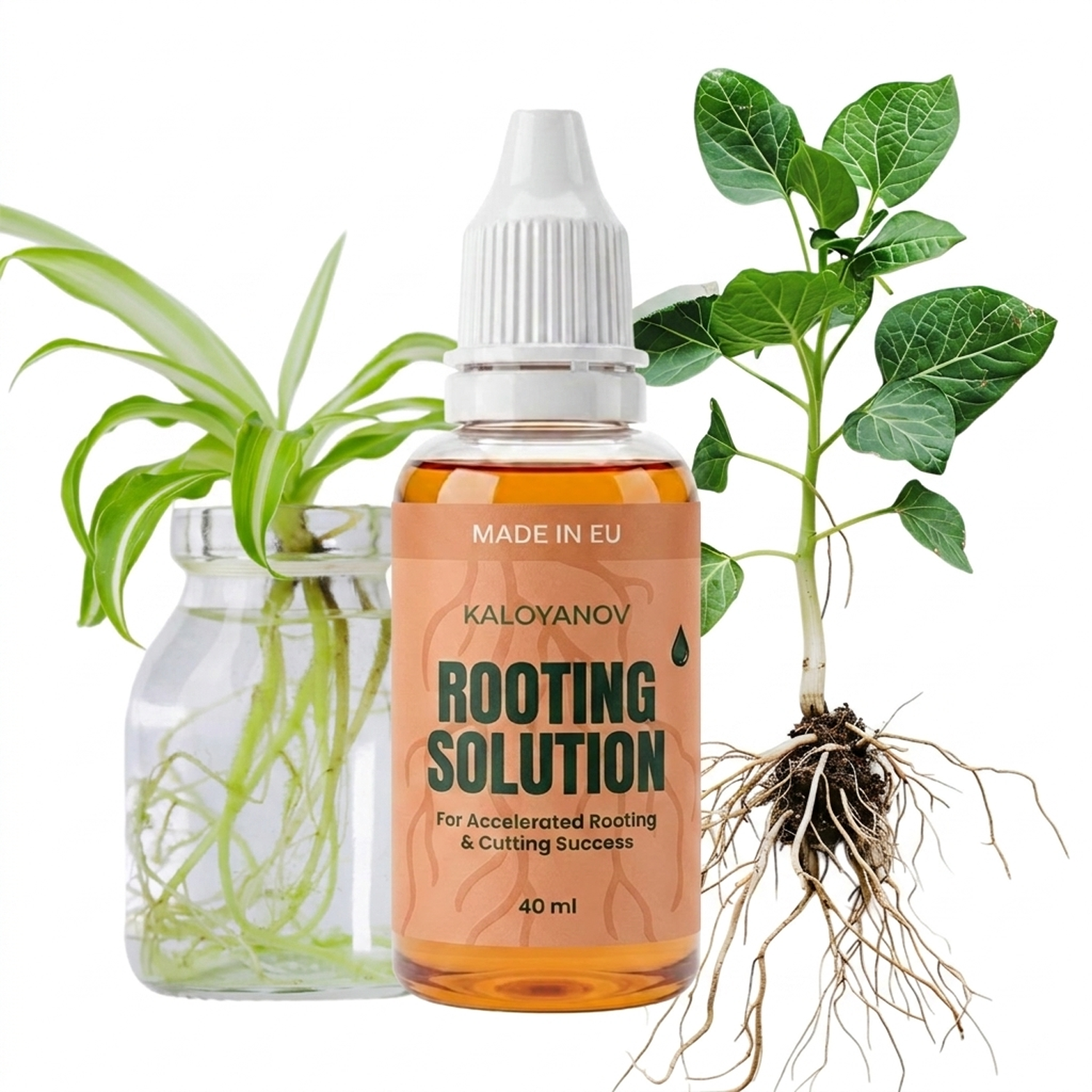 Root Drops Liquid Rooting Horm - огляд і ціна Rooting Hormone Powder