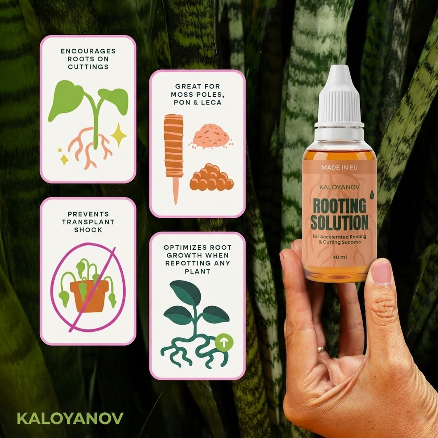 Root Drops Liquid Rooting Horm - огляд і ціна Rooting Hormone Powder