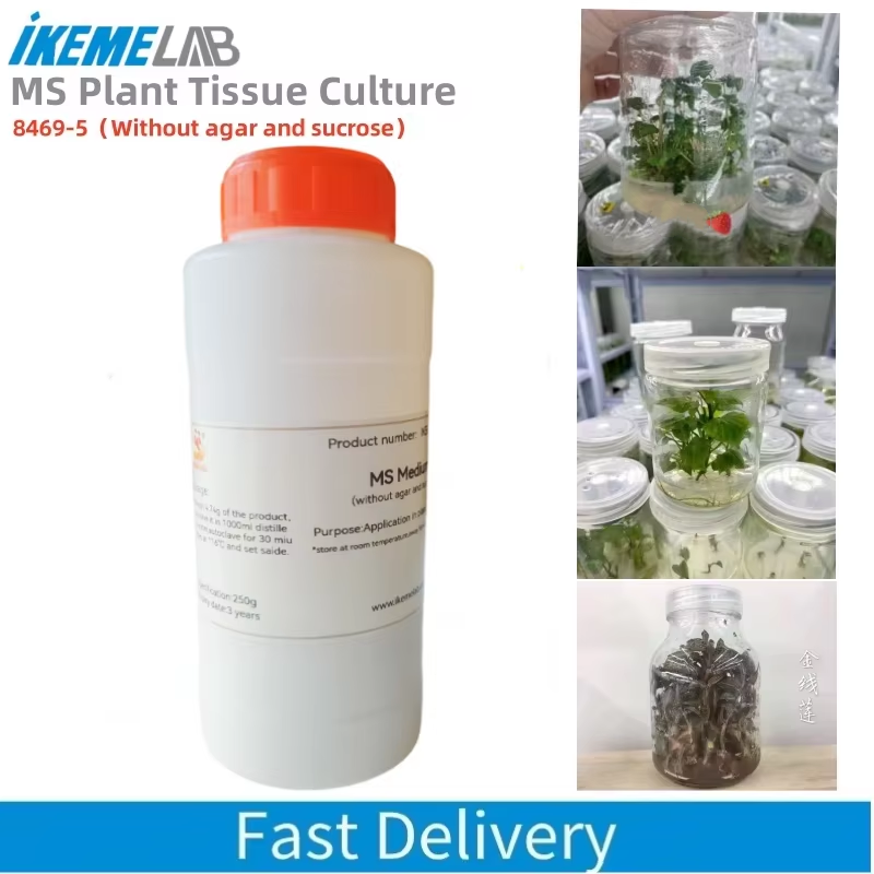 IKEME 250g Lab MS Medium Witho - огляд і ціна Agar Tissue Culture