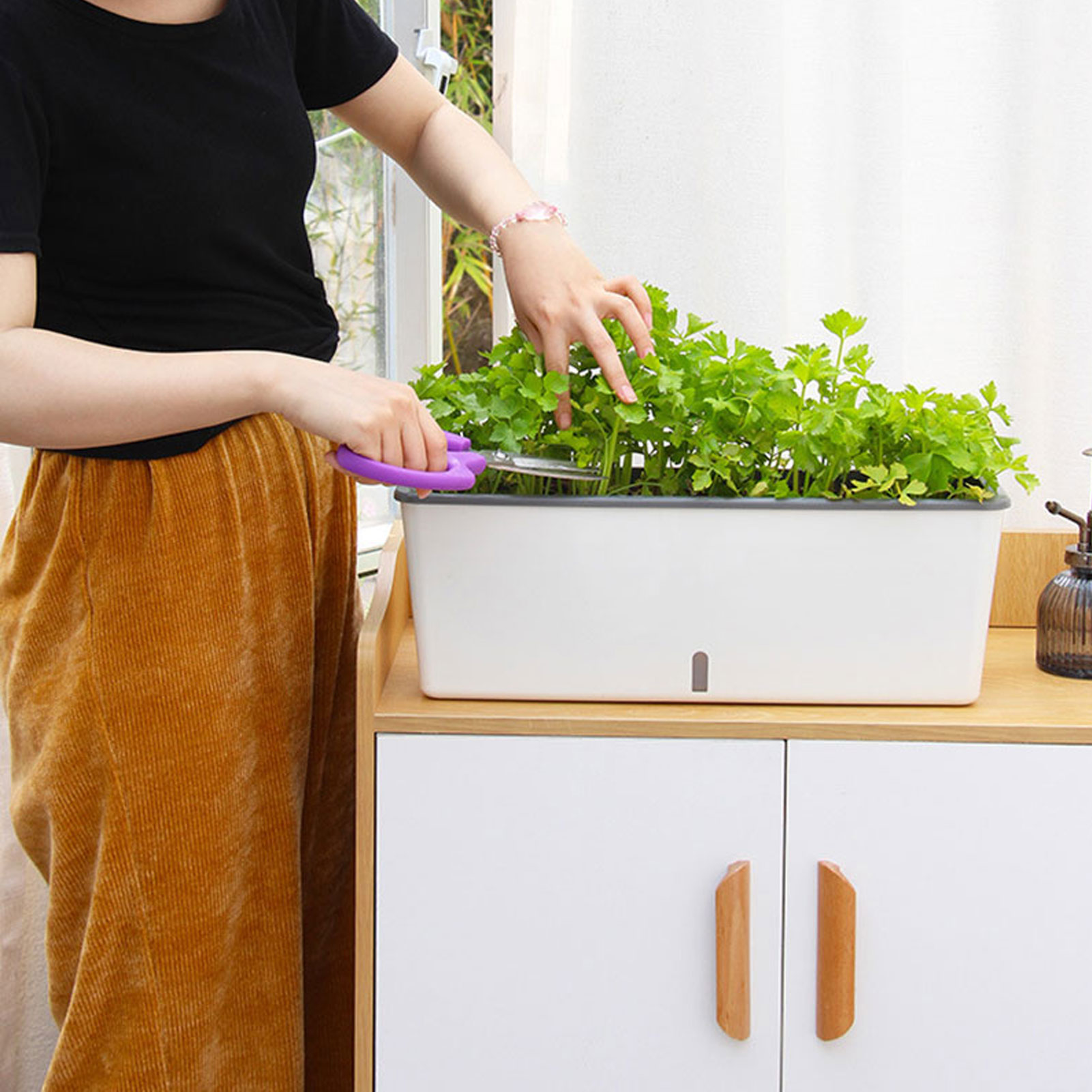 Self-Watering Planter Pots wit - огляд і ціна Self Watering Insert