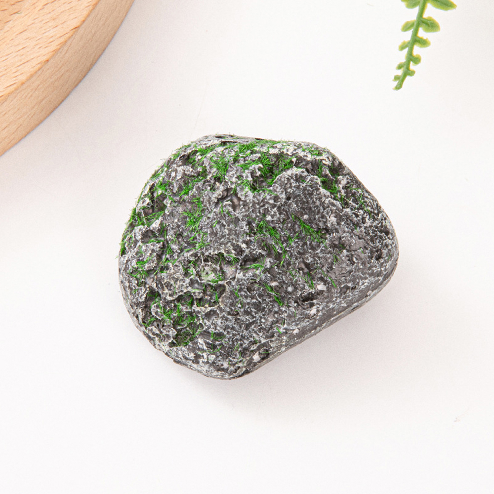 10PCS Mossy Gray Stone Multi-s - огляд і ціна Sphagnum Moss Dry