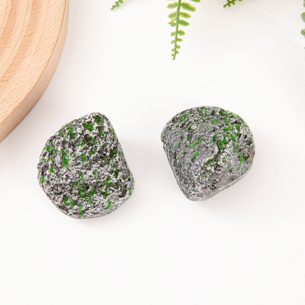 10PCS Mossy Gray Stone Multi-s - огляд і ціна Sphagnum Moss Dry