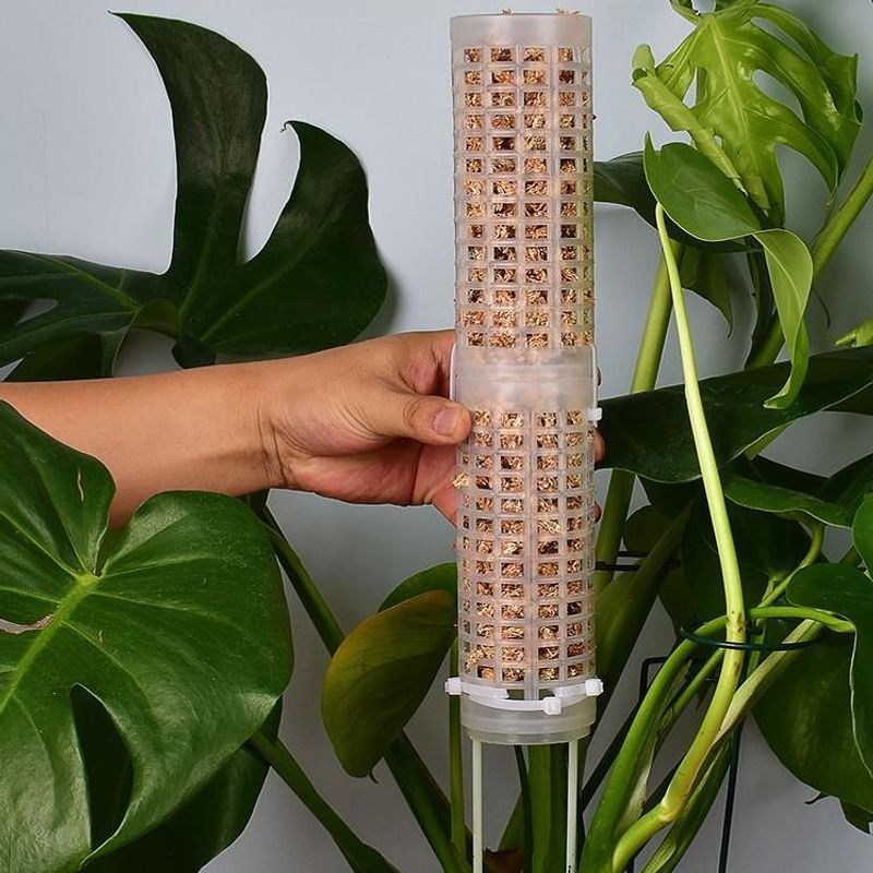Accessory Plastics Moss Pole S - огляд і ціна Sphagnum Moss Dry