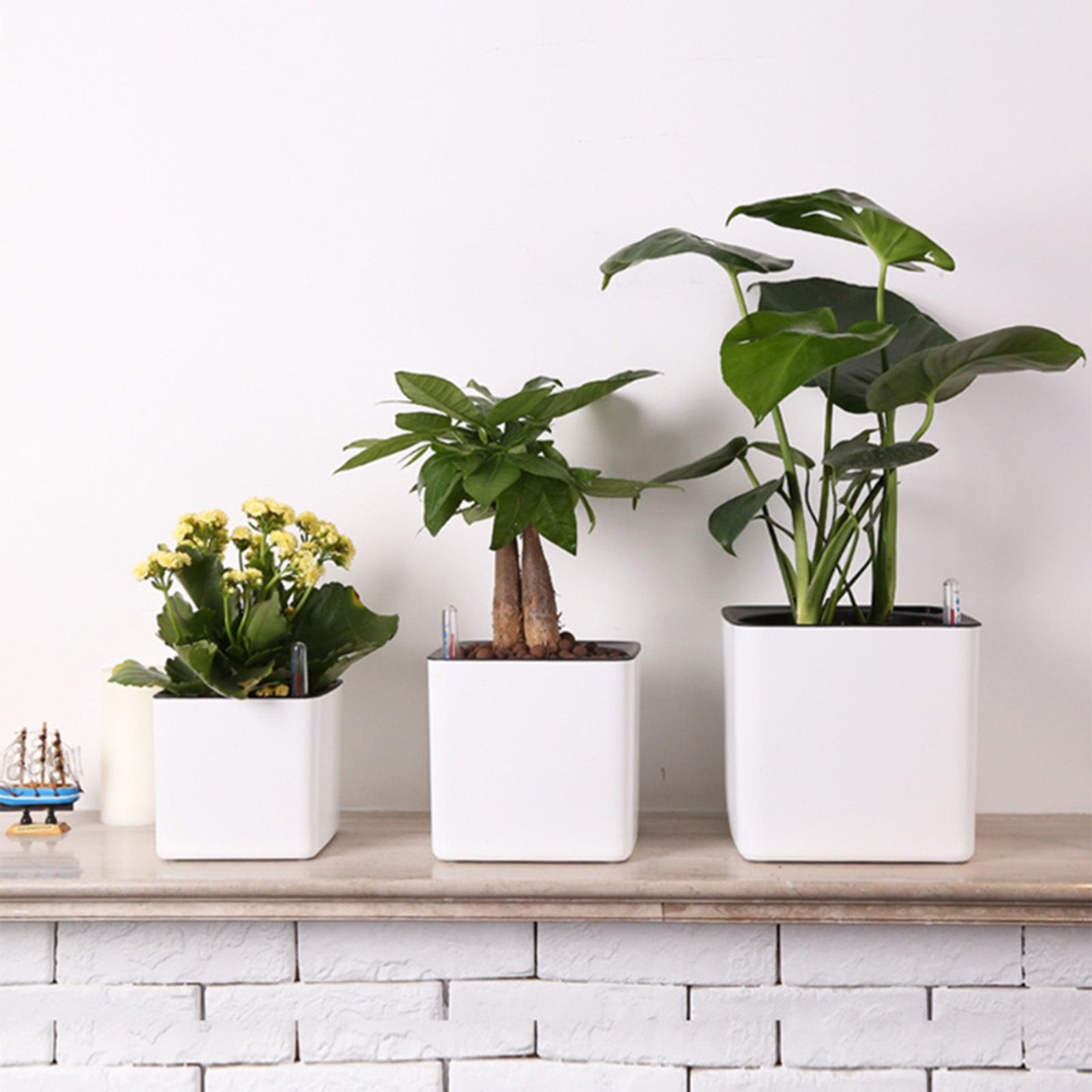Automatic Self Watering Flower - огляд і ціна Self Watering Insert