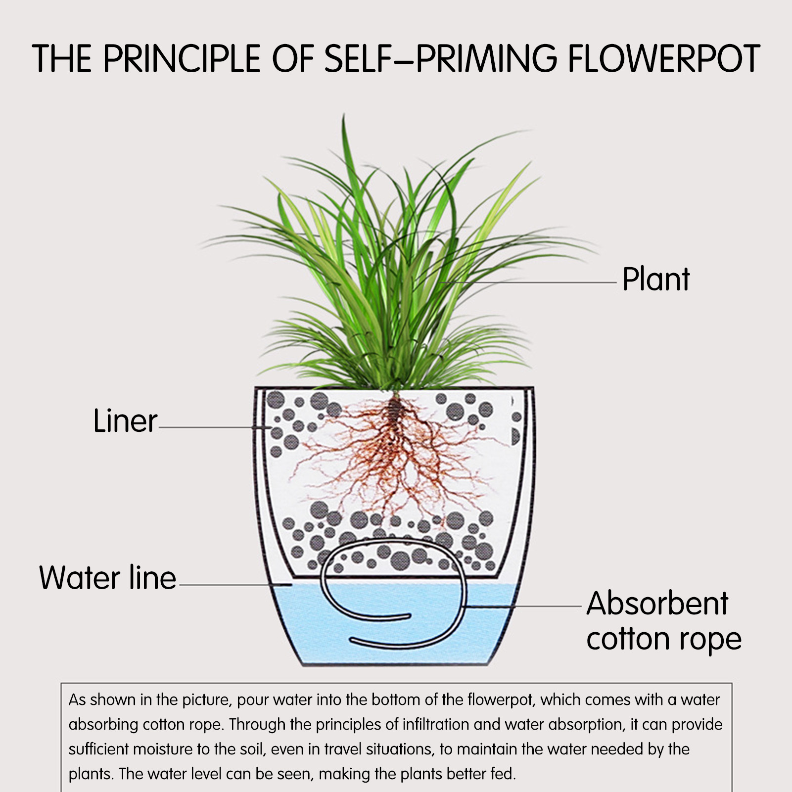 Automatic Self Watering Flower - огляд і ціна Self Watering Insert
