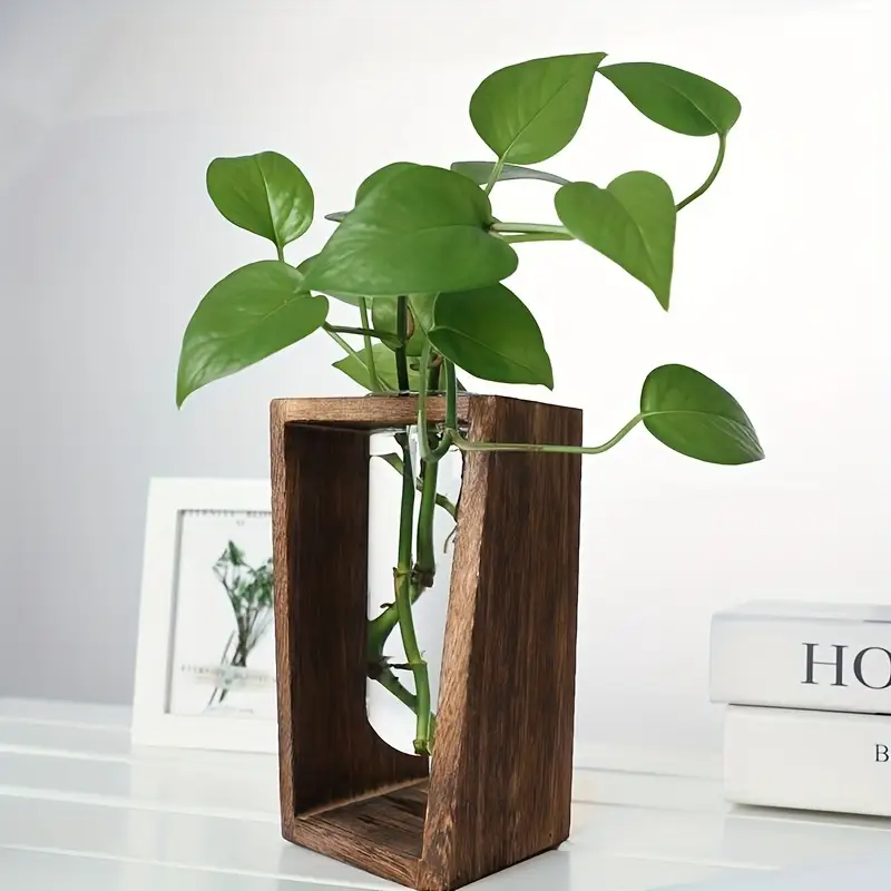 Modern Wood Propagation Vase - - огляд і ціна Propagation Station Vase
