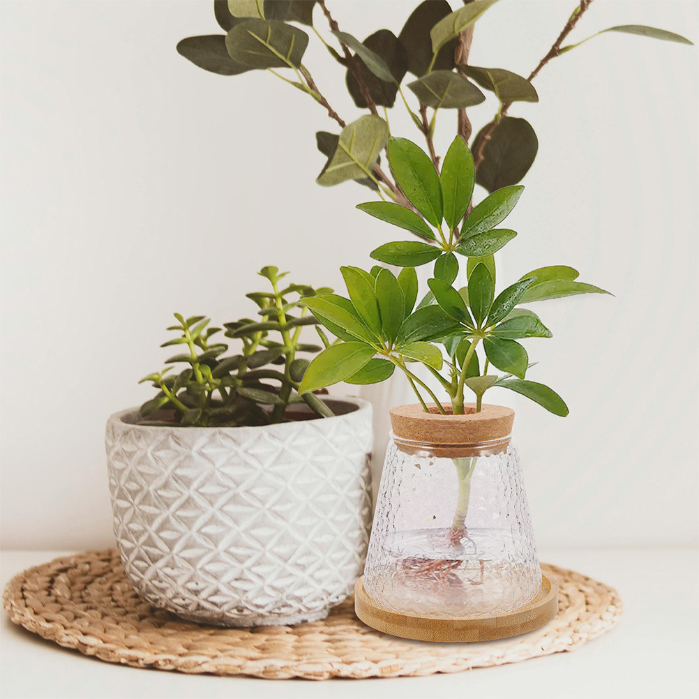 2Pcs Glass Hydroponic Vase Vol - огляд і ціна Propagation Station Vase