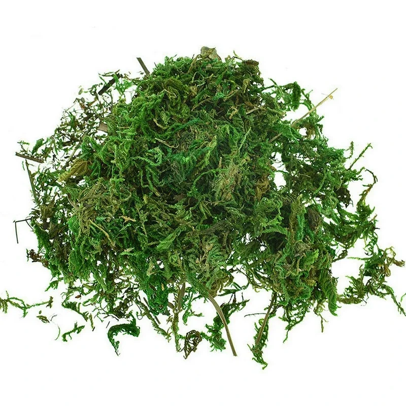 800G Dry Real Green Moss Decor - огляд і ціна Sphagnum Moss Dry