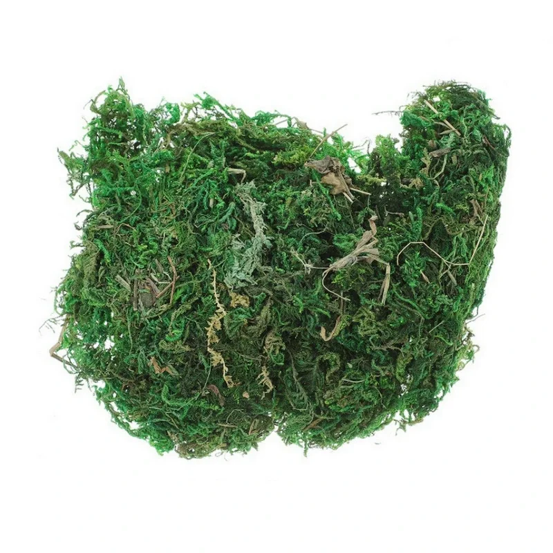 800G Dry Real Green Moss Decor - огляд і ціна Sphagnum Moss Dry