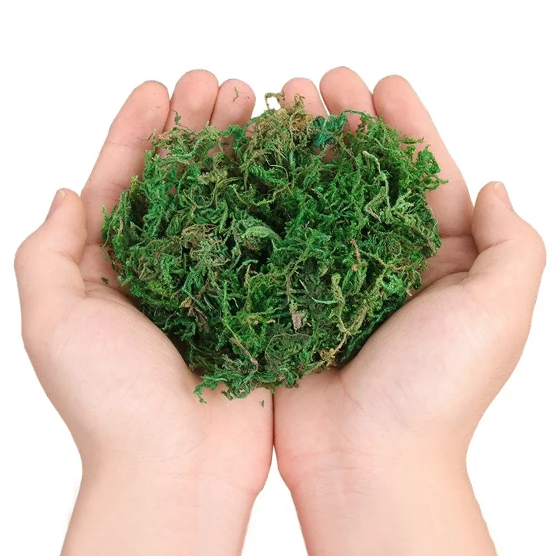 800G Dry Real Green Moss Decor - огляд і ціна Sphagnum Moss Dry