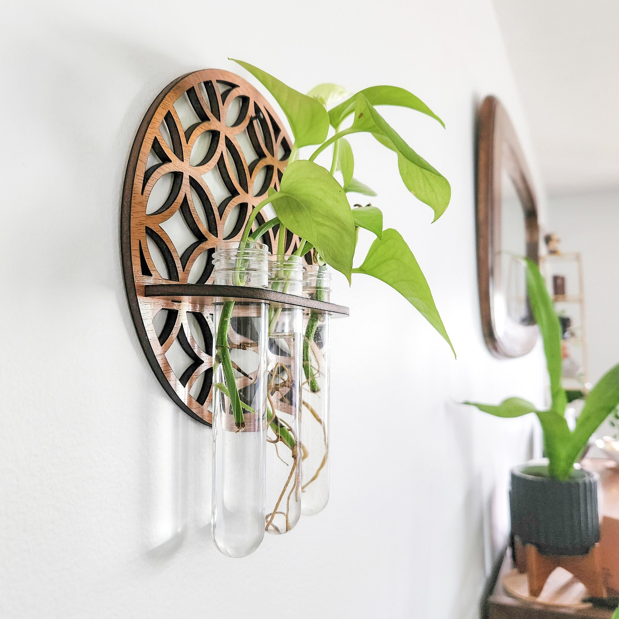 Garden Wall Planters Indoor Wo - огляд і ціна Propagation Station Vase
