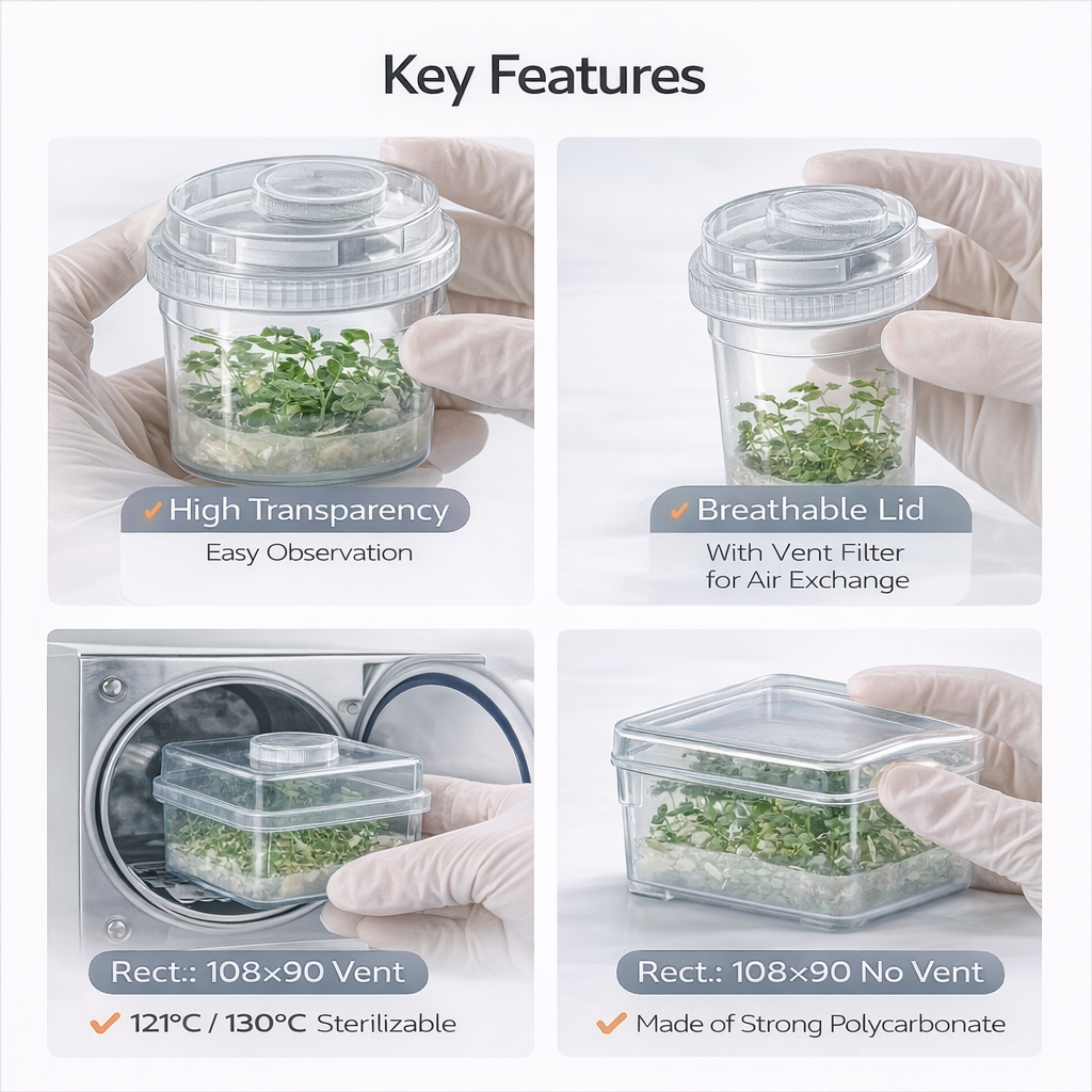 Plant Tissue Culture Container - огляд і ціна Agar Tissue Culture