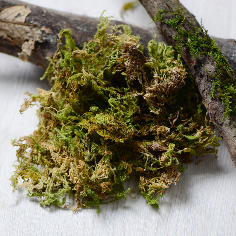 100g High Quality Artificial M - огляд і ціна Sphagnum Moss Dry