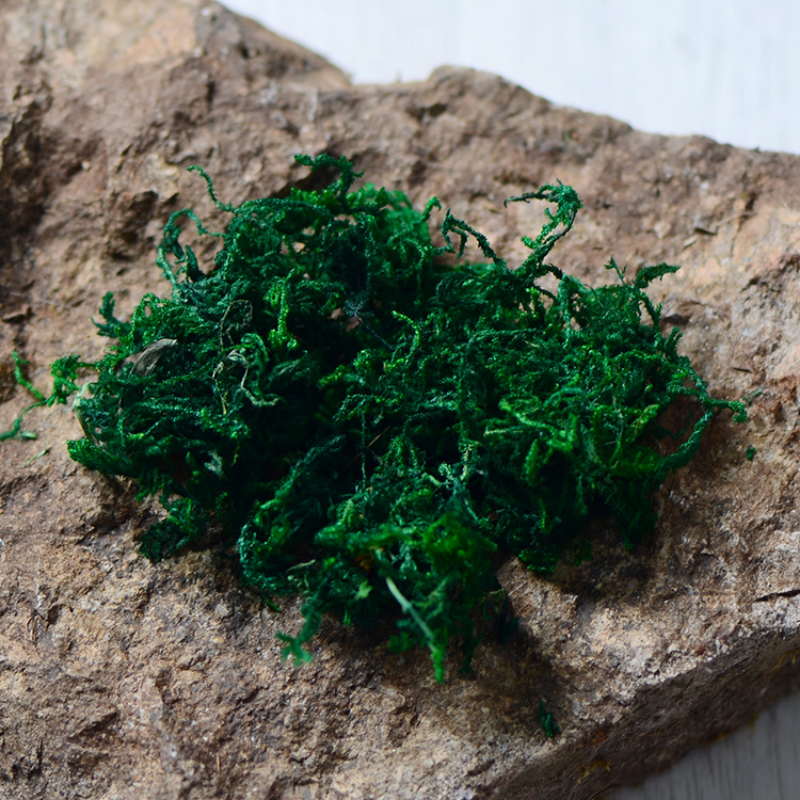 100g High Quality Artificial M - огляд і ціна Sphagnum Moss Dry