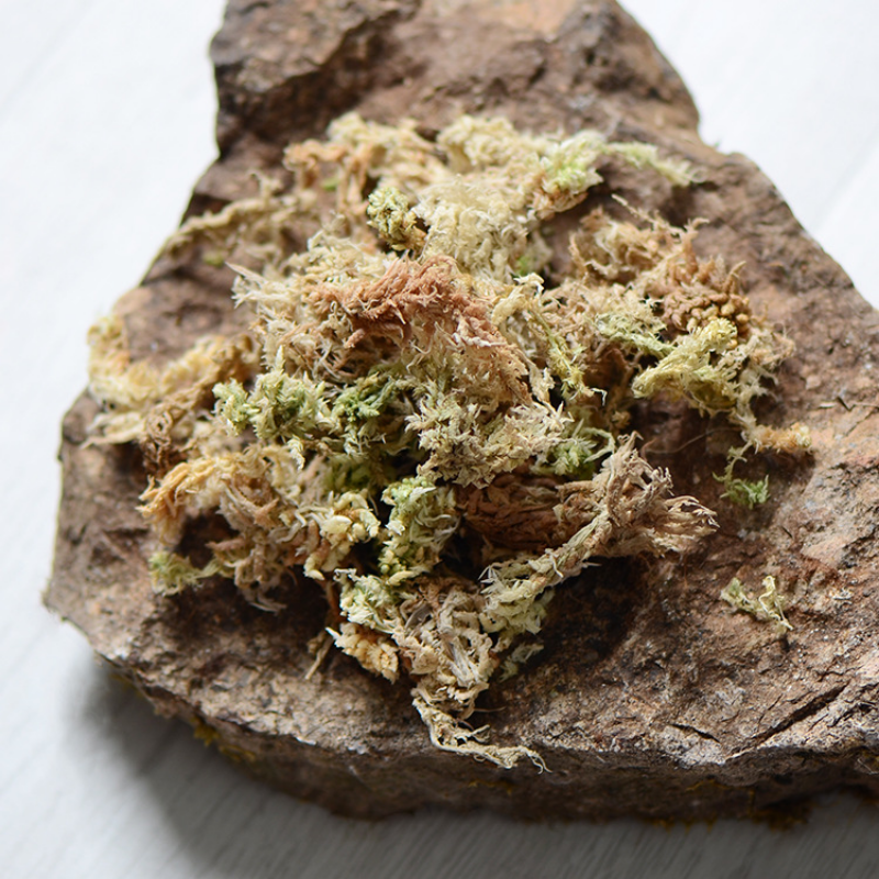 100g High Quality Artificial M - огляд і ціна Sphagnum Moss Dry