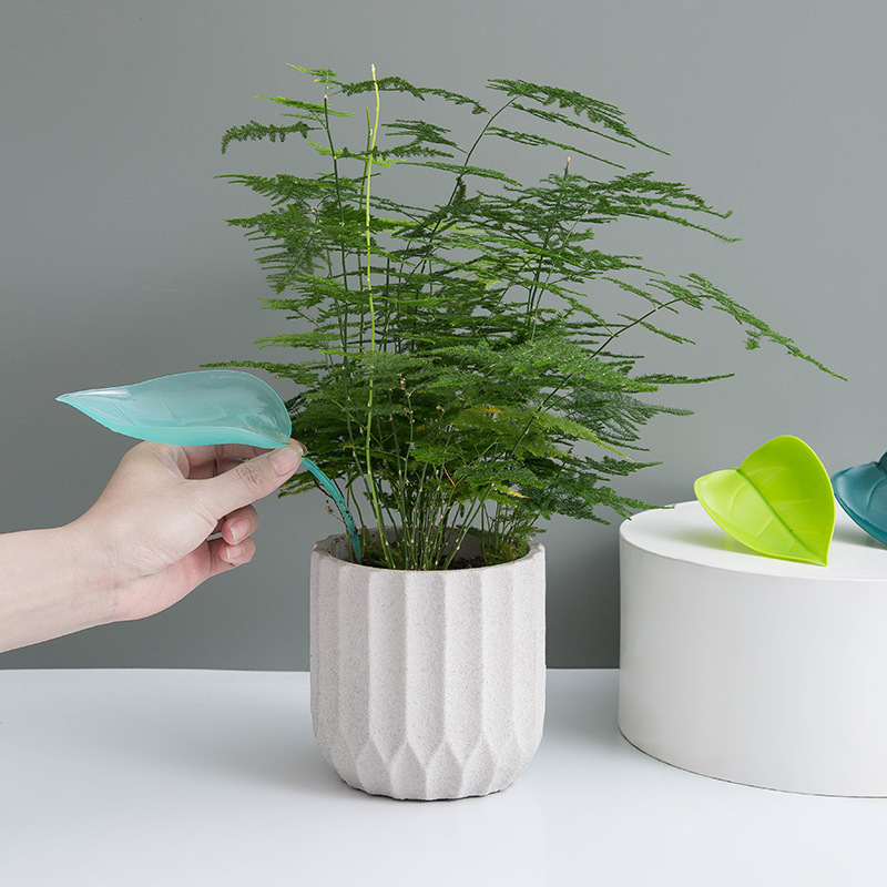 Creative Potted Foliage Divers - огляд і ціна Self Watering Insert