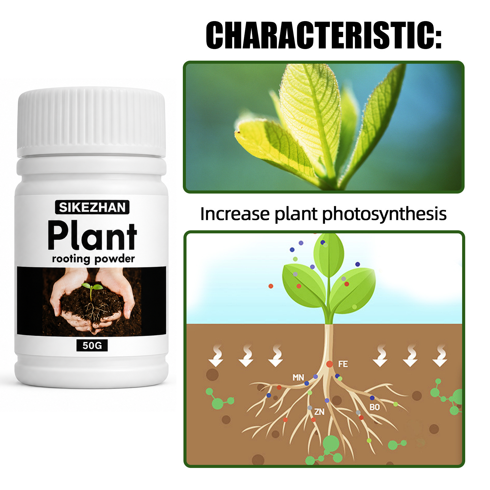 50g Rapid Rooting Powder Plant - огляд і ціна Rooting Hormone Powder