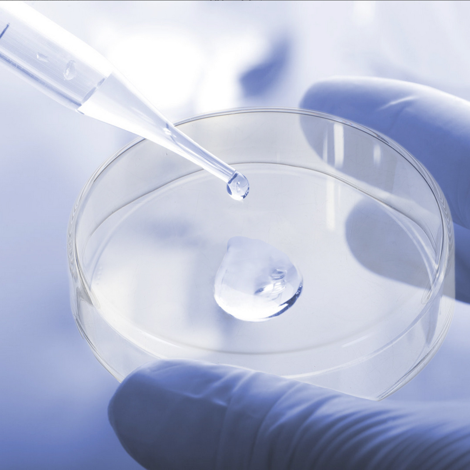 1Set Thickened Glass Petri Dis - огляд і ціна Agar Tissue Culture