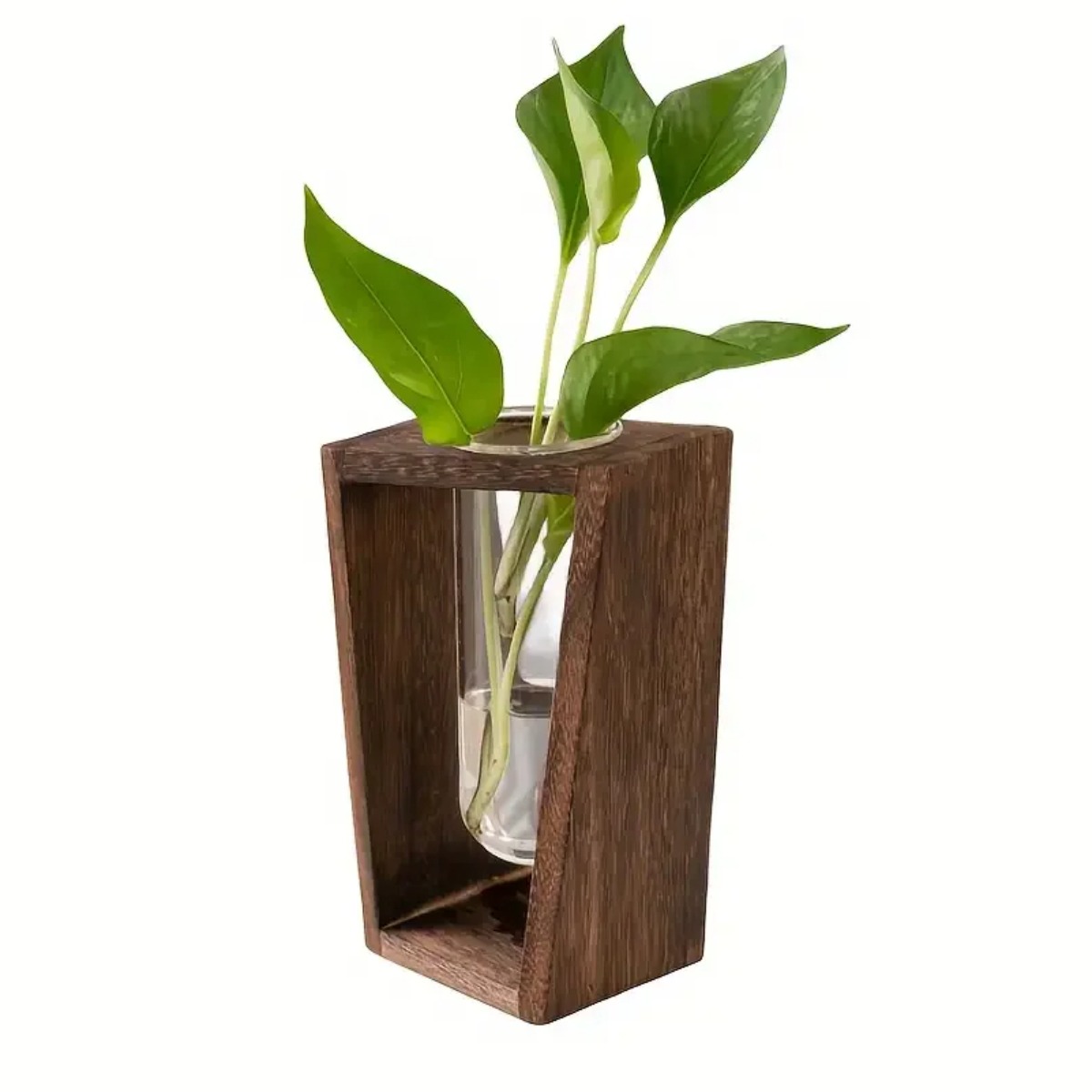 Plant Propagation Station Hydr - огляд і ціна Propagation Station Vase