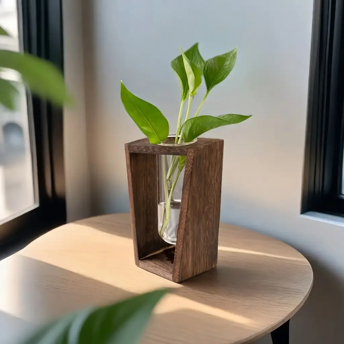 Plant Propagation Station Hydr - огляд і ціна Propagation Station Vase