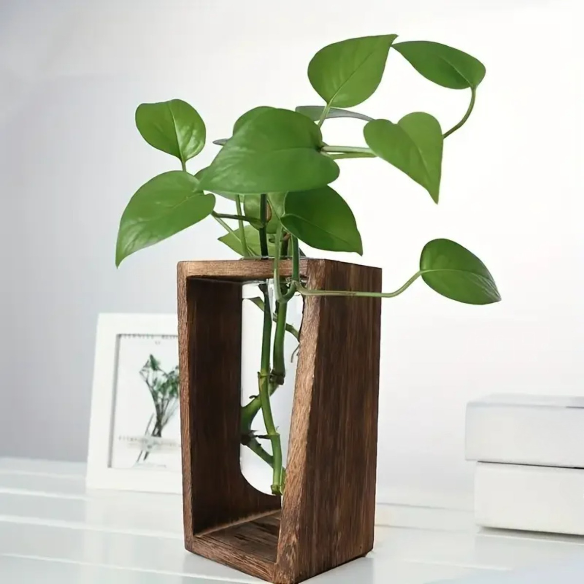 Plant Propagation Station Hydr - огляд і ціна Propagation Station Vase