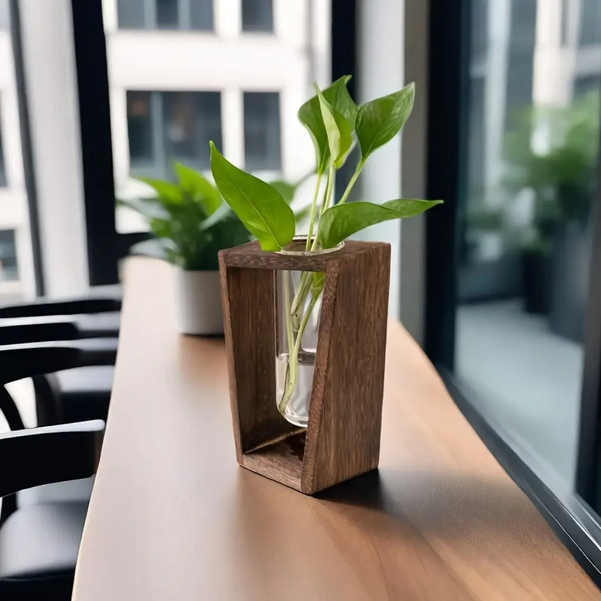 Plant Propagation Station Hydr - огляд і ціна Propagation Station Vase
