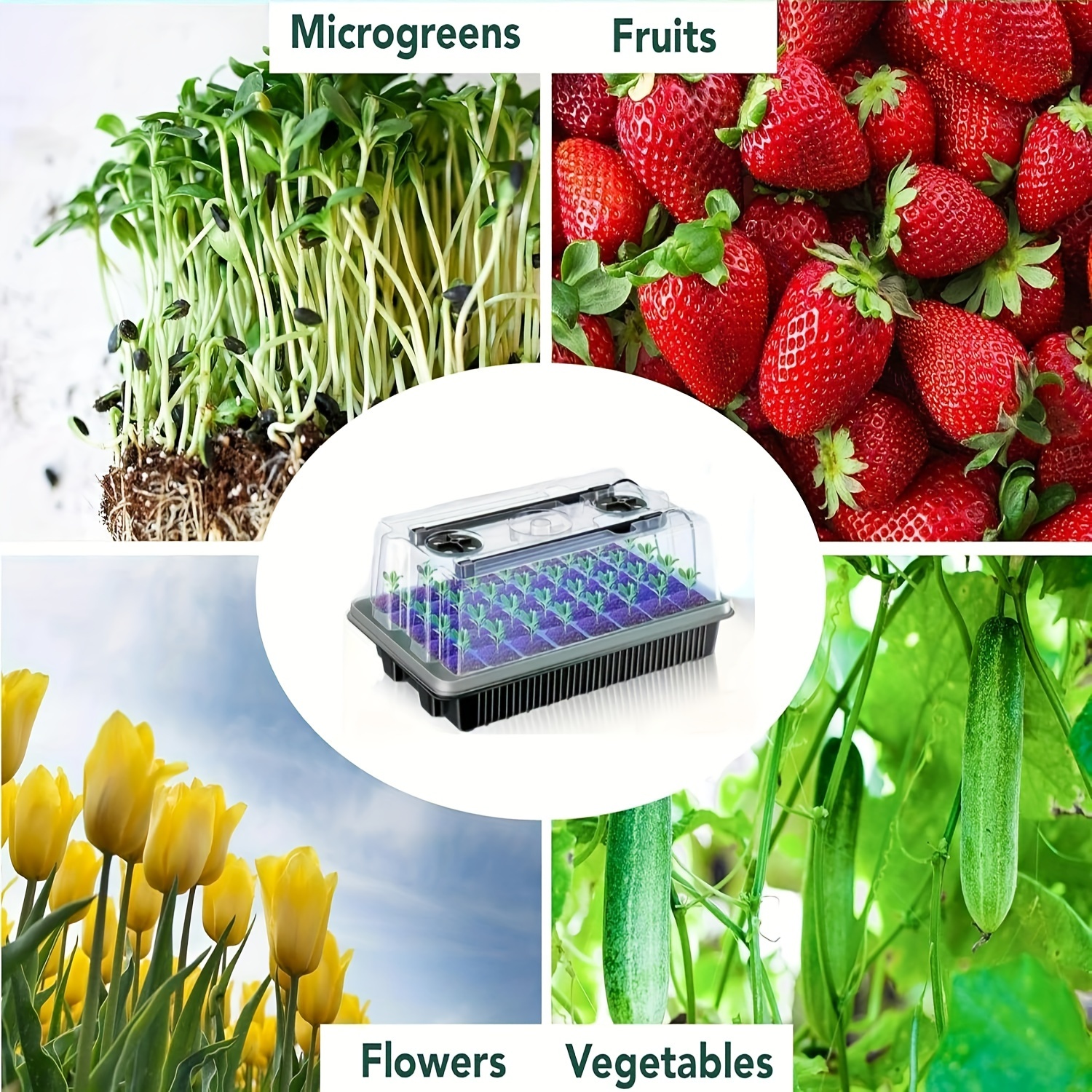 40/Cell Seed Starter Kit with  - огляд і ціна Humidity Dome Kit