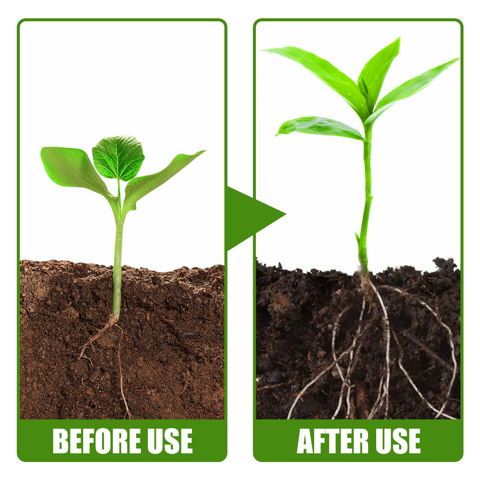 1Rare Plant Rooting Powder Pla - огляд і ціна Rooting Hormone Powder