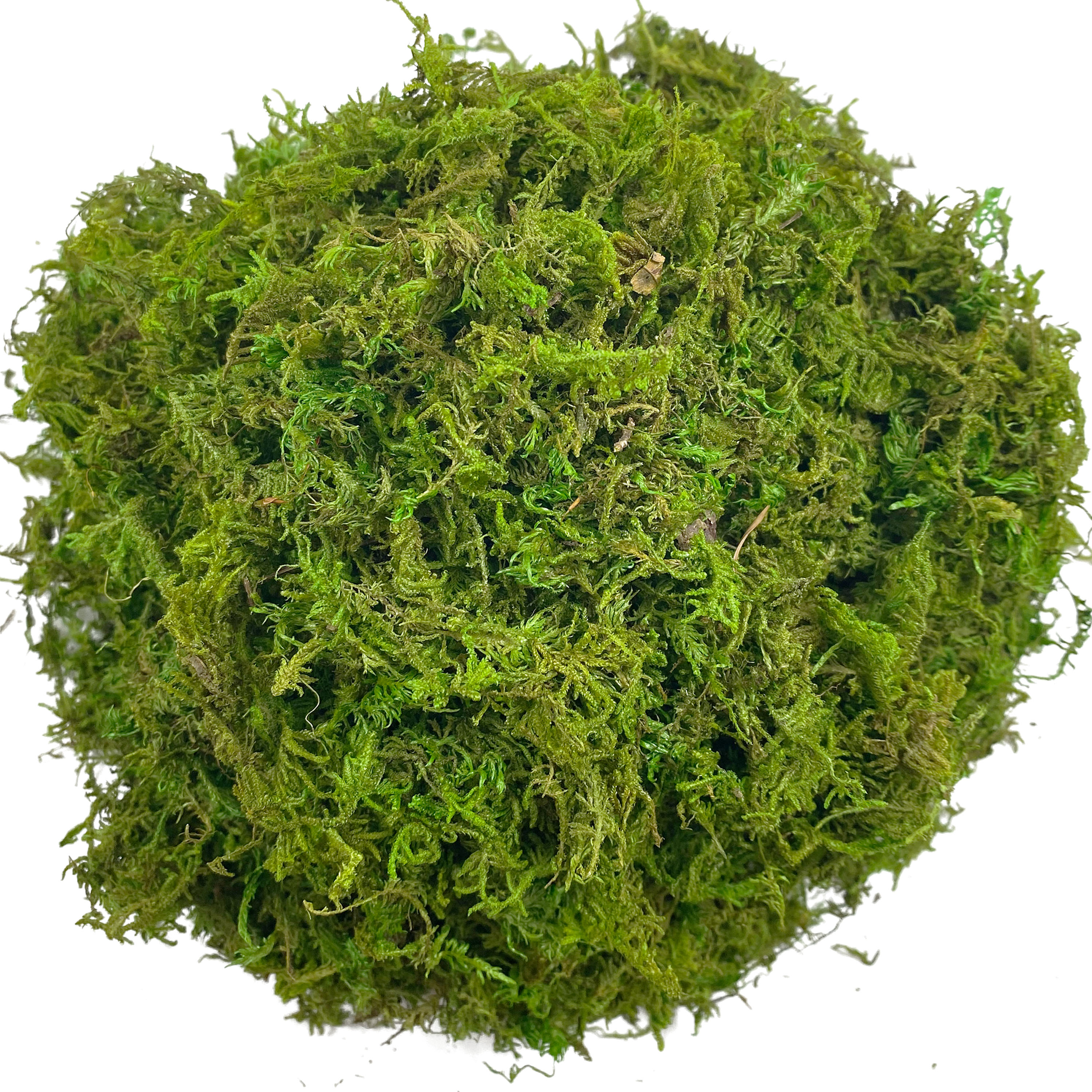Artificial Moss Green for Pott - огляд і ціна Sphagnum Moss Dry