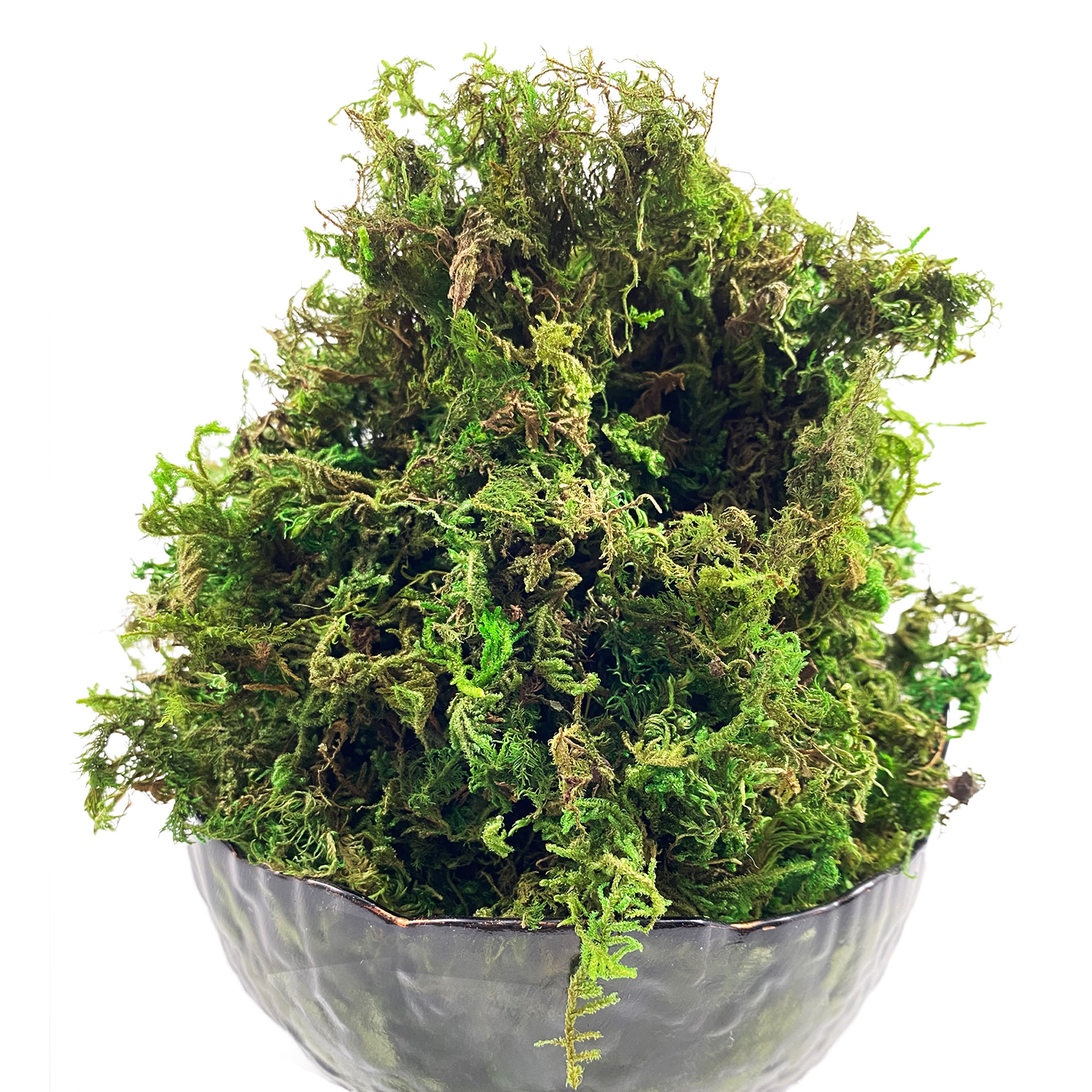 Artificial Moss Green for Pott - огляд і ціна Sphagnum Moss Dry