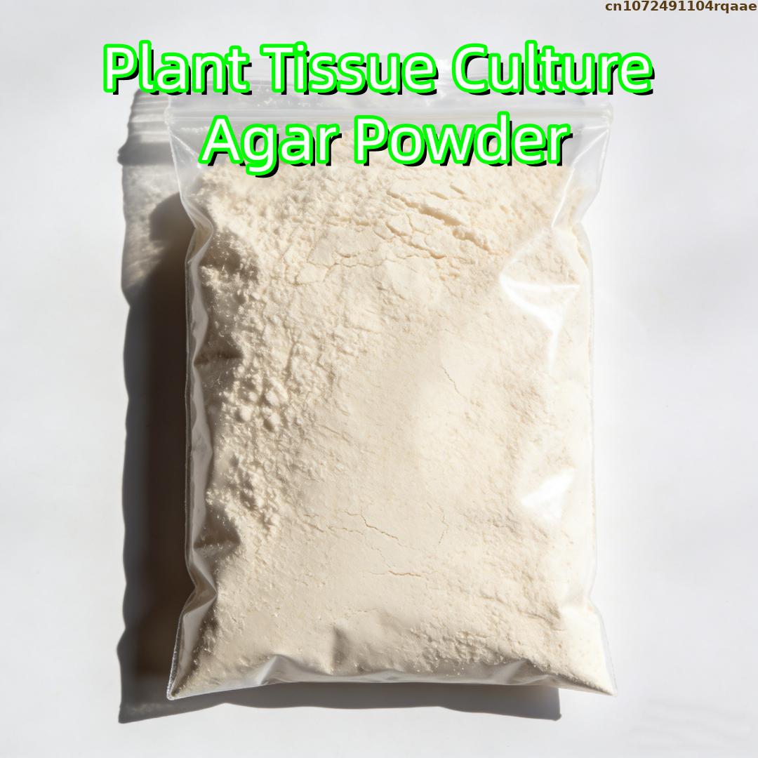 Premium Plant Tissue Culture A - огляд і ціна Agar Tissue Culture