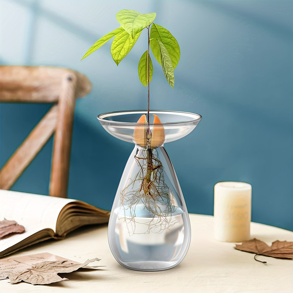 Avocado Seed Starter Hydroponi - огляд і ціна Propagation Station Vase