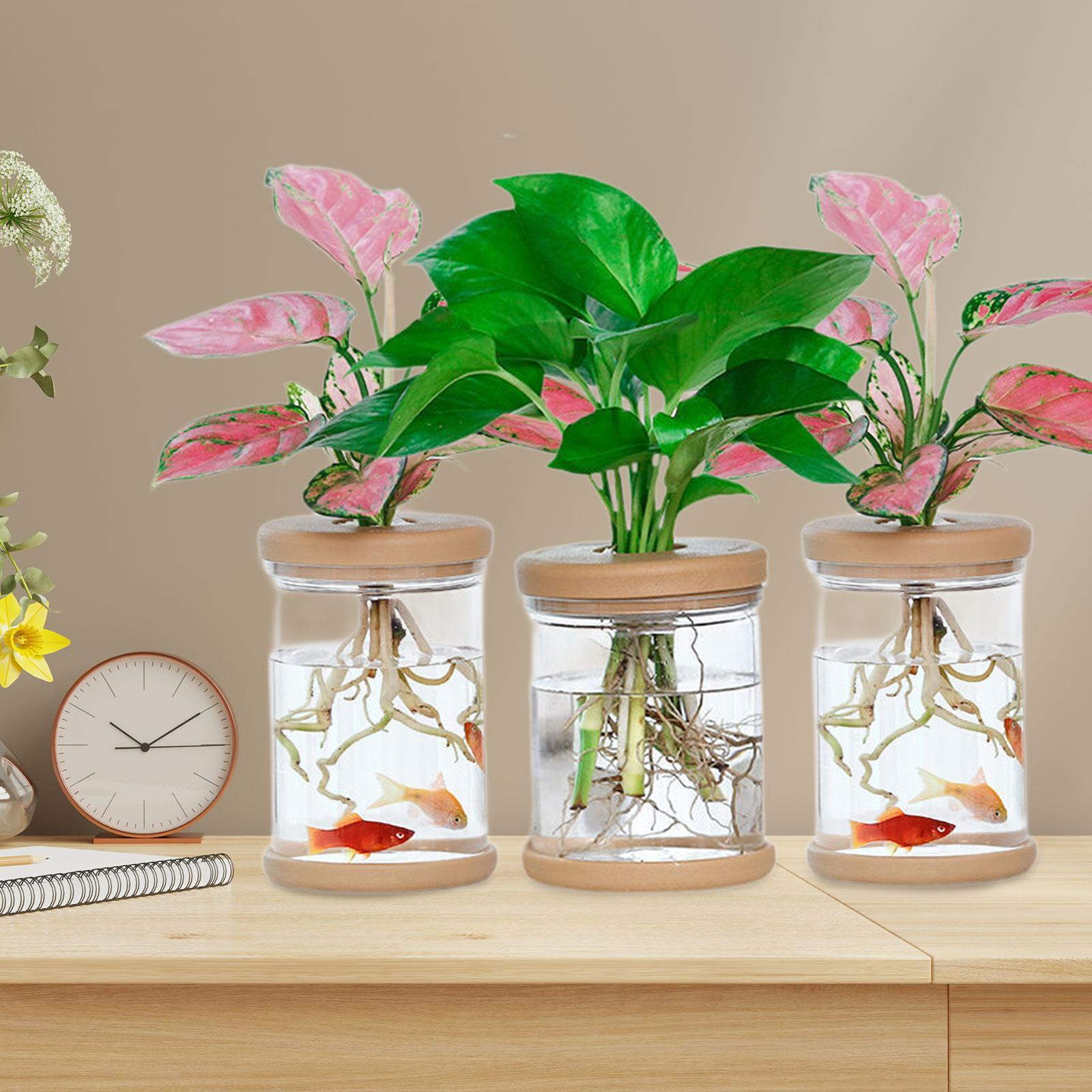 3Pcs Hydroponics Flower Vases  - огляд і ціна Propagation Station Vase