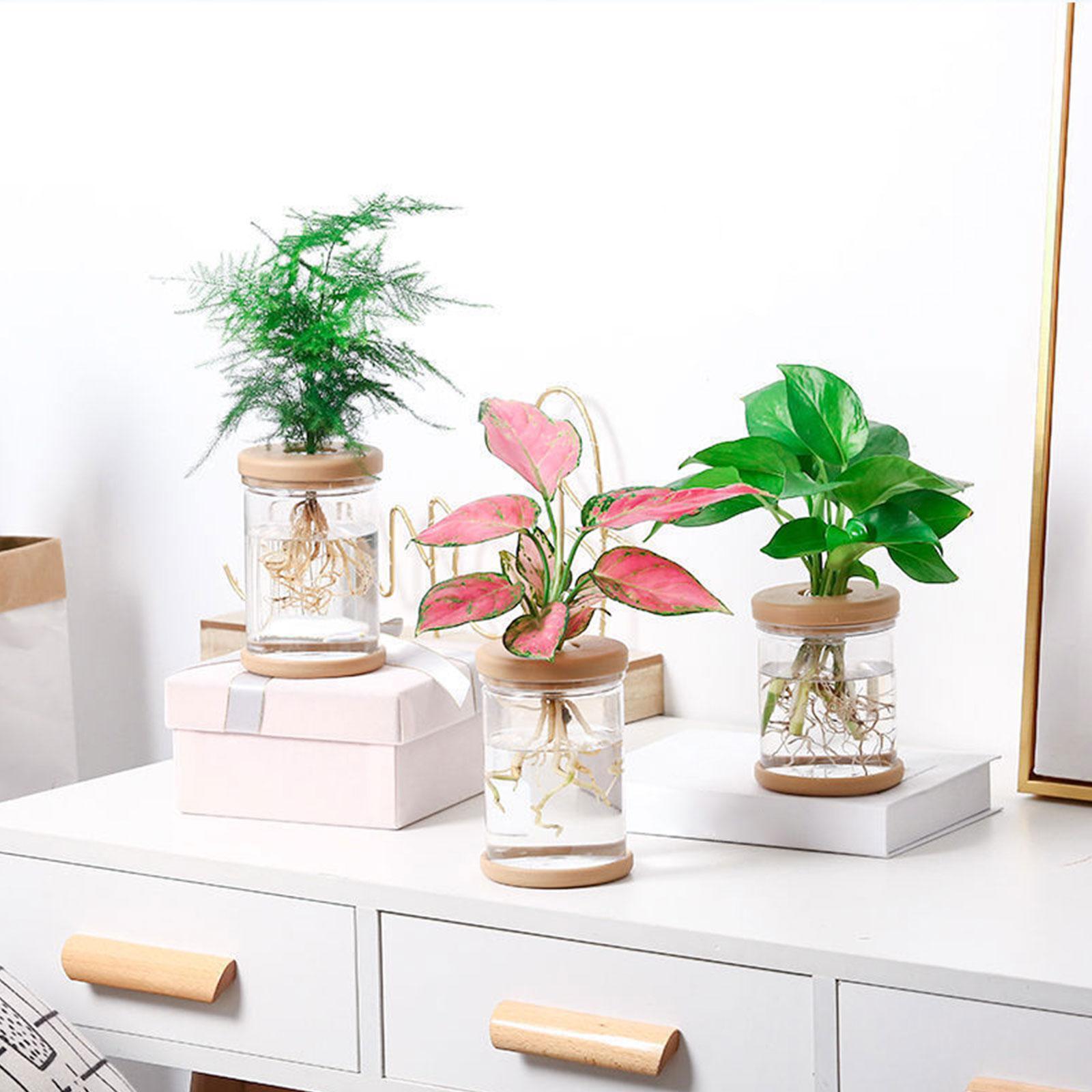 3Pcs Hydroponics Flower Vases  - огляд і ціна Propagation Station Vase